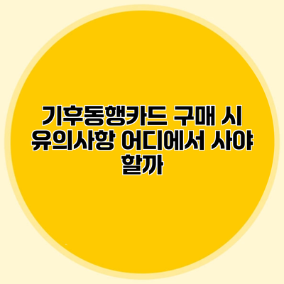 기후동행카드 구매 시 유의사항 어디에서 사야 할까?