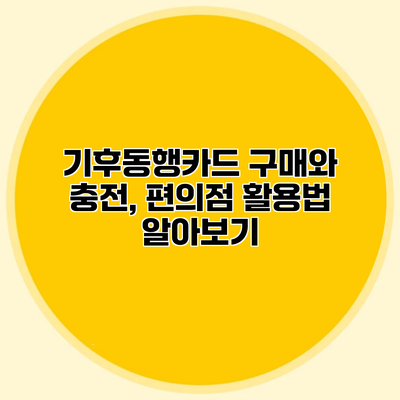 기후동행카드 구매와 충전, 편의점 활용법 알아보기
