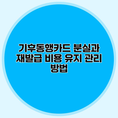 기후동행카드 분실과 재발급 비용 유지 관리 방법