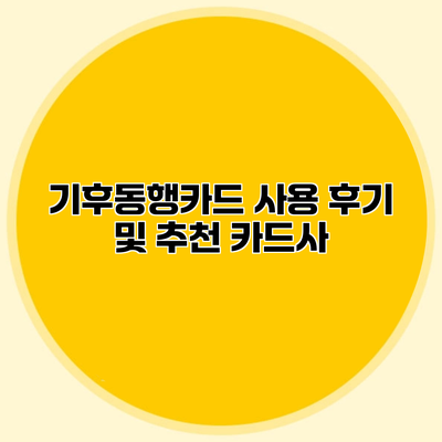 기후동행카드 사용 후기 및 추천 카드사