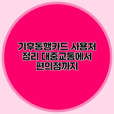 기후동행카드 사용처 정리 대중교통에서 편의점까지