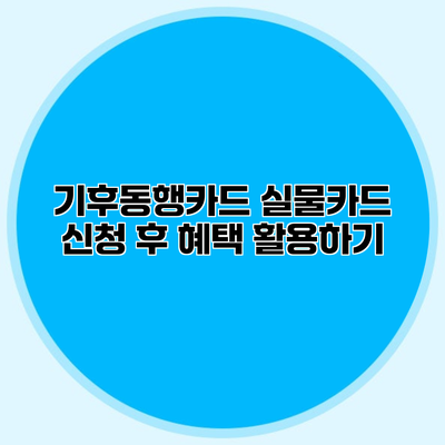 기후동행카드 실물카드 신청 후 혜택 활용하기