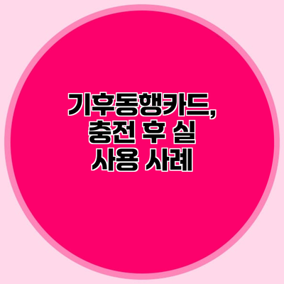 기후동행카드, 충전 후 실 사용 사례
