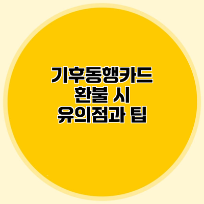 기후동행카드 환불 시 유의점과 팁