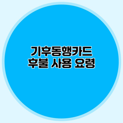 기후동행카드 후불 사용 요령