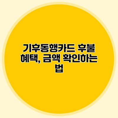 기후동행카드 후불 혜택, 금액 확인하는 법