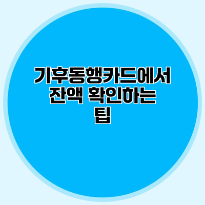 기후동행카드에서 잔액 확인하는 팁