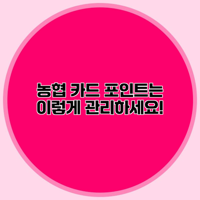 농협 카드 포인트는 이렇게 관리하세요!