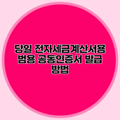 당일 전자세금계산서용 범용 공동인증서 발급 방법