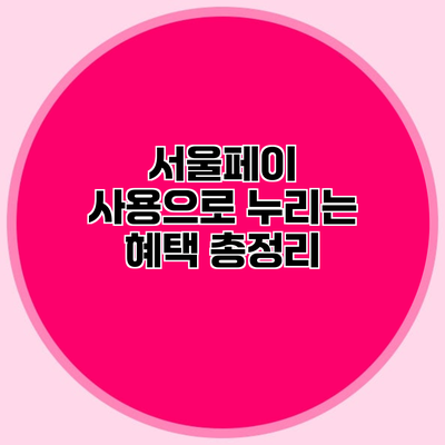 서울페이 사용으로 누리는 혜택 총정리