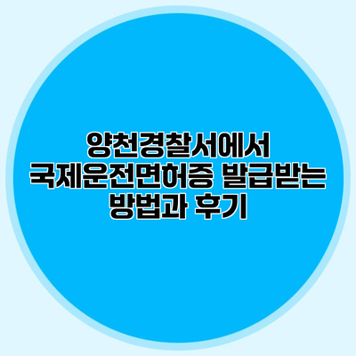 양천경찰서에서 국제운전면허증 발급받는 방법과 후기