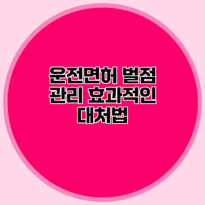 운전면허 벌점 관리 효과적인 대처법