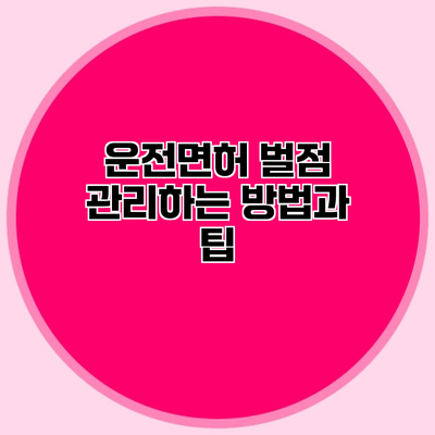 운전면허 벌점 관리하는 방법과 팁