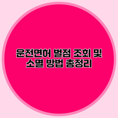 운전면허 벌점 조회 및 소멸 방법 총정리