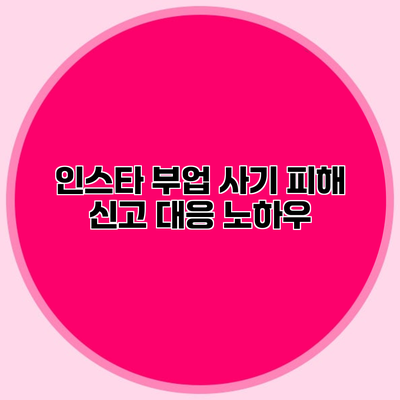 인스타 부업 사기 피해 신고 대응 노하우