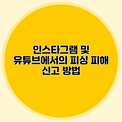 인스타그램 및 유튜브에서의 피싱 피해 신고 방법