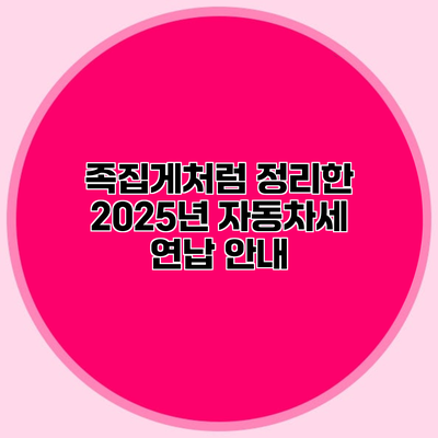 족집게처럼 정리한 2025년 자동차세 연납 안내