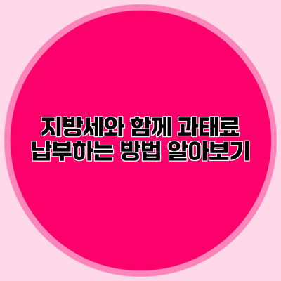지방세와 함께 과태료 납부하는 방법 알아보기