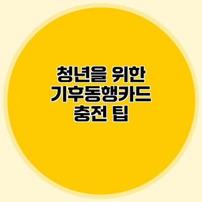 청년을 위한 기후동행카드 충전 팁